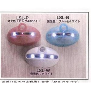 リーベックス LEDセンサーライト・ミニ LSL-B