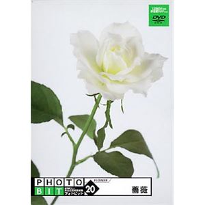 グラパックジャパン Photobit 20 薔薇 GPJC-03220