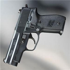 タナカ ガスガン シグザウエル P228