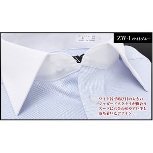 流行デザイン　　ライトブルー　ZW1　長袖/3Lサイズ　 