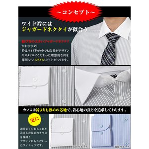 　　ライトグレーストライプ　ZW2　長袖/2Lサイズ 