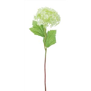 スノーボールショート GR