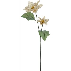 シャイニングポインセチア*2 GO