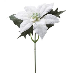 ポインセチアピック W