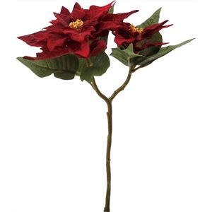 ポインセチアピック*2 WIR