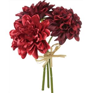 ダリアバンチ WIR