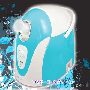 FI-i-MO イオンスキンケア イオンスチーマー /美顔器 美容 ミスト FI-X21TG