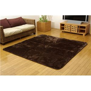 洗える ウォッシャブルラグカーペット 『WSウェンデルNSK』 ブラウン 185×185cm