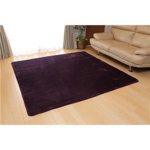 ホットカーペット対応 ソフトな扁平糸使用ラグ 『アネーロ』 パープル 185×185cm