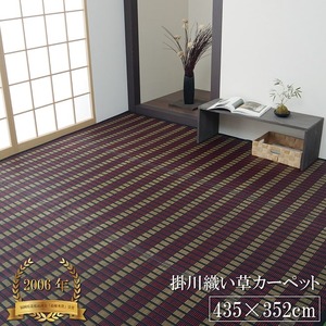 【福岡県品評会最優秀賞】純国産 い草花ござ 『鍋島』 ブラック 江戸間10畳（約435×352cm）