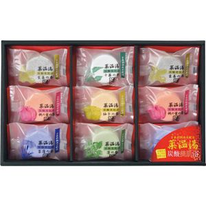 薬温湯炭酸美肌浴POD15 POD-15薬温湯炭酸美肌浴セット 13-0625-117