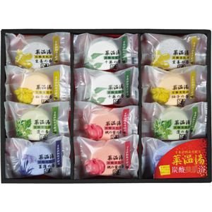 薬温湯炭酸美肌浴POD-20 POD-20薬温湯炭酸美肌浴セット 13-0625-125