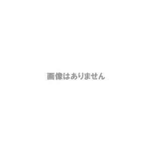 HP（旧コンパック） X610 2GB DDR3 SDRAM UDIMM Memory JG529A