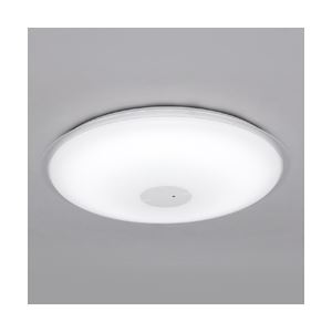 アイリスオーヤマ LEDシーリングライト 12畳 PP枠有り 調光・調色 CL12DL-P1