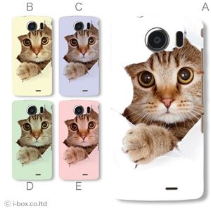 カラーE ハードケース 009SH AQUOS PHONE THE PREMIUM 対応 カバー ジャケット 携帯ケース 009sh_a07_061a_e