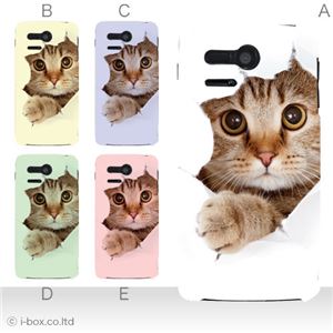 カラーE ハードケース 107SH PANTONE 5 対応 カバー ジャケット 携帯ケース 107sh_a07_061a_e