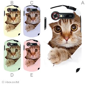 カラーE ハードケース CAL21 G'zOne TYPE-L 対応 カバー ジャケット 携帯ケース cal21_a07_061a_e