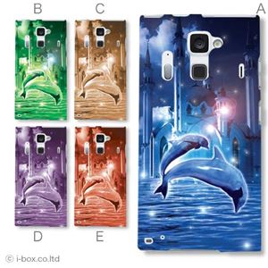 カラーE ハードケース F-06E ARROWS NX 対応 カバー ジャケット 携帯ケース f06e_a08_031a_e