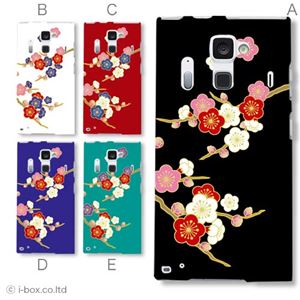 カラーA ハードケース F-06E ARROWS NX 対応 カバー ジャケット 携帯ケース f06e_a17_519a_a