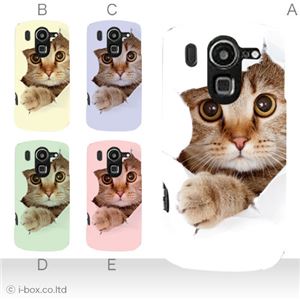 カラーA ハードケース F-10D ARROWS X /ISW13F ARROWS Z 対応 カバー ジャケット 携帯ケース f10d_a07_061a_a