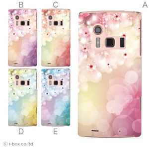 カラーA ハードケース FJL21 ARROWS ef 対応 カバー ジャケット 携帯ケース fjl21_a03_543a_a