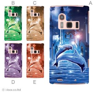 カラーA ハードケース FJL21 ARROWS ef 対応 カバー ジャケット 携帯ケース fjl21_a08_031a_a