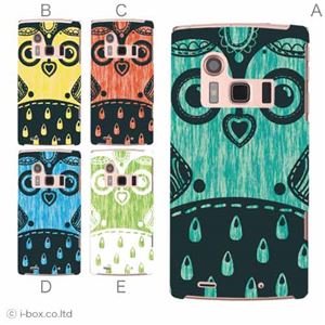 カラーE ハードケース FJL21 ARROWS ef 対応 カバー ジャケット 携帯ケース fjl21_a12_599a_e