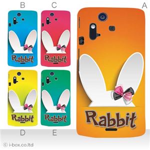 カラーE ハードケース IS11S／SO-02C Xperia Acro 対応 カバー ジャケット 携帯ケース is11s_a02_229a_e