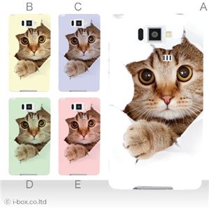カラーE ハードケース ISW16SH AQUOS PHONE SERIE 対応 カバー ジャケット 携帯ケース isw16s_a07_061a_e