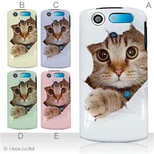 カラーA ハードケース N-01D MEDIAS PP /101N MEDIAS CH 対応 カバー ジャケット 携帯ケース n01d_a07_061a_a