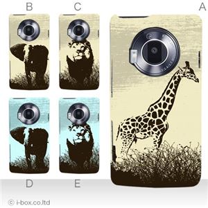 カラーE ハードケース P-02D/101P LUMIX Phone 対応 カバー ジャケット 携帯ケース p02d_a38_526a_e