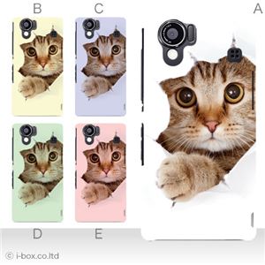 カラーA ハードケース SH-01D／102SH（II） AQUOS PHONE 対応 カバー ジャケット 携帯ケース sh01d_a07_061a_a