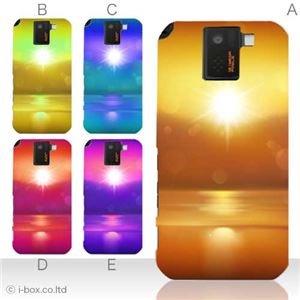 カラーA ハードケース SH-10D AQUOS PHONE SV 対応 カバー ジャケット 携帯ケース sh10d_a04_577a_a