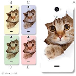 カラーA ハードケース SO-01E Xperia AX 対応 カバー ジャケット 携帯ケース so01e_a07_061a_a