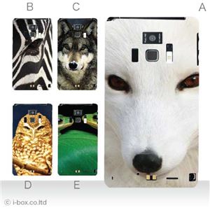 カラーA ハードケース T-01D REGZA Phone ／F-08D Disney Mobile 対応 カバー ジャケット 携帯ケース t01d_a00_210a_a