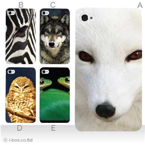カラーB ハードケース iPhone5S/iPhone5 ケース/アイフォン5/ハードケース/ハード/ docomo/au/SoftBank 対応 カバー ジャケット スマホケース phone5_a00_210a_b