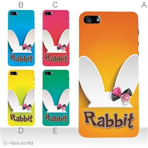 カラーB ハードケース iPhone5S/iPhone5 ケース/アイフォン5/ハードケース/ハード/ docomo/au/SoftBank 対応 カバー ジャケット スマホケース phone5_a02_229a_b