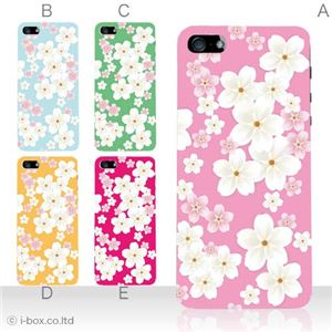 カラーE ハードケース iPhone5S/iPhone5 ケース/アイフォン5/ハードケース/ハード/ docomo/au/SoftBank 対応 カバー ジャケット スマホケース phone5_a03_519a_e