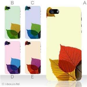 カラーE ハードケース iPhone5S/iPhone5 ケース/アイフォン5/ハードケース/ハード/ docomo/au/SoftBank 対応 カバー ジャケット スマホケース phone5_a04_533a_e
