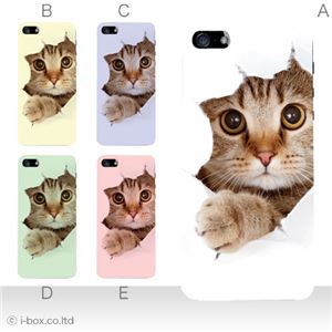 カラーB ハードケース iPhone5S/iPhone5 ケース/アイフォン5/ハードケース/ハード/ docomo/au/SoftBank 対応 カバー ジャケット スマホケース phone5_a07_061a_b