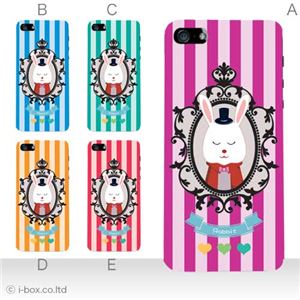 カラーE ハードケース iPhone5S/iPhone5 ケース/アイフォン5/ハードケース/ハード/ docomo/au/SoftBank 対応 カバー ジャケット スマホケース phone5_a07_593a_e