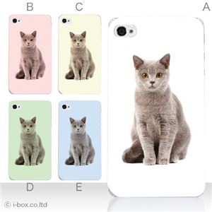 カラーC ハードケース iPhone5S/iPhone5 ケース/アイフォン5/ハードケース/ハード/ docomo/au/SoftBank 対応 カバー ジャケット スマホケース phone5_a08_511a_c