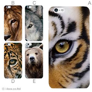 カラーC ハードケース iPhone6 plus ケース/アイフォン6プラス/ハードケース/ハード/ docomo/au/SoftBank 対応 カバー ジャケット スマホケース phon6p_a00_101_c