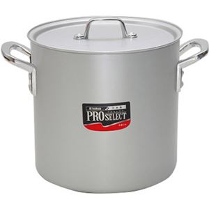 プロセレクト 寸胴鍋 54cm