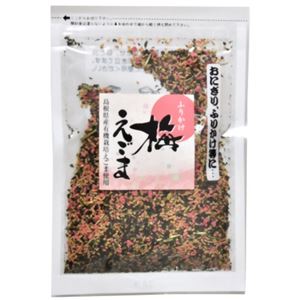 オーサン 梅えごまふりかけ 30g×14セット