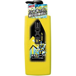 AXE(アックス) ボディソープ ライズアップ 480g×20セット