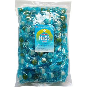 （まとめ買い）塩分補給 Na55 きりっと爽やかレモン味&シークワーサー味 1kg×3セット