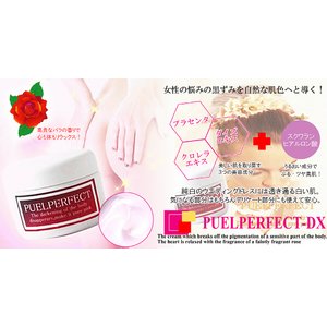 プエルP-DX