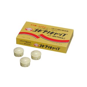 ゴキブリキャップ 15個入