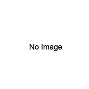 CANON トナー502シアン 2P輸入純正品（302／102／GPR-27）